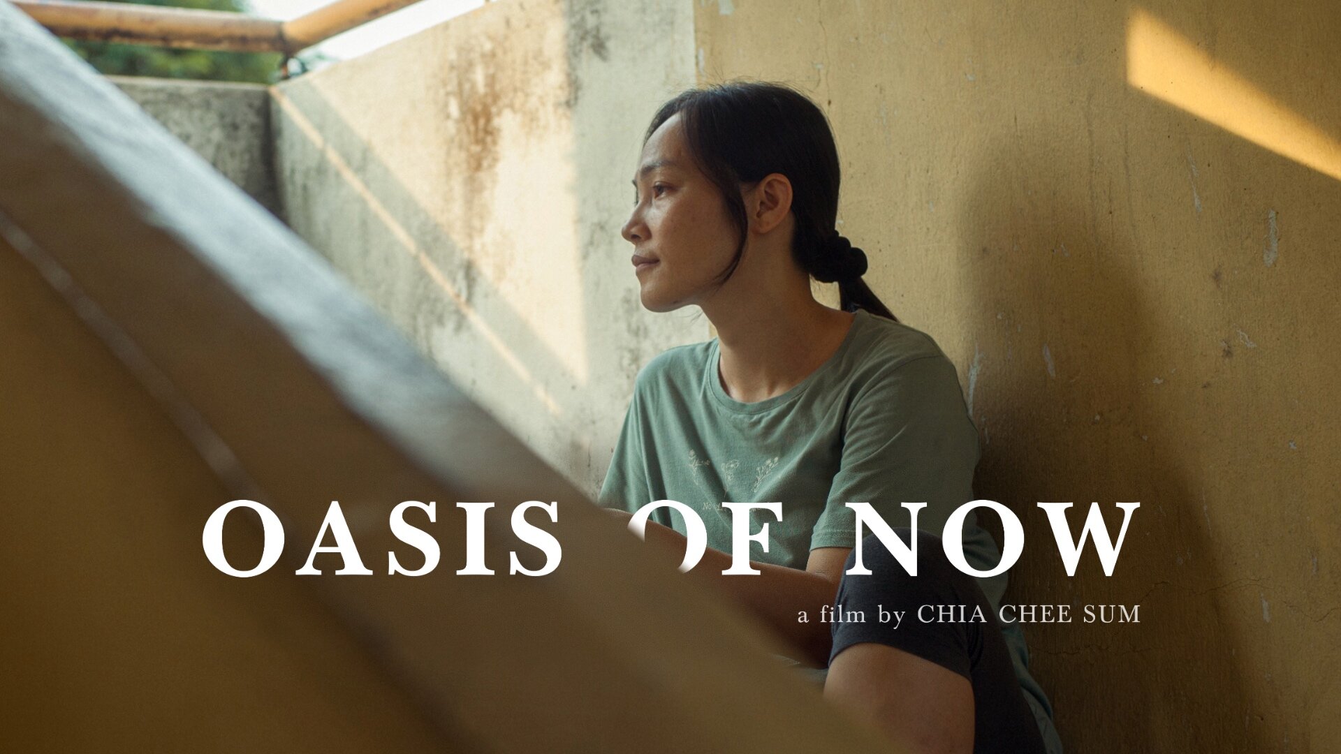 Oasis of Now
