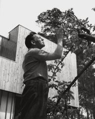 Alvar Aalto