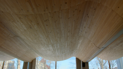 Roof of Vyborg library